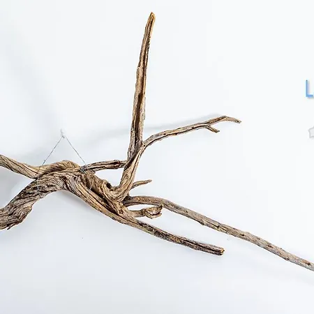 Maison Chaleureuse Zen アパート