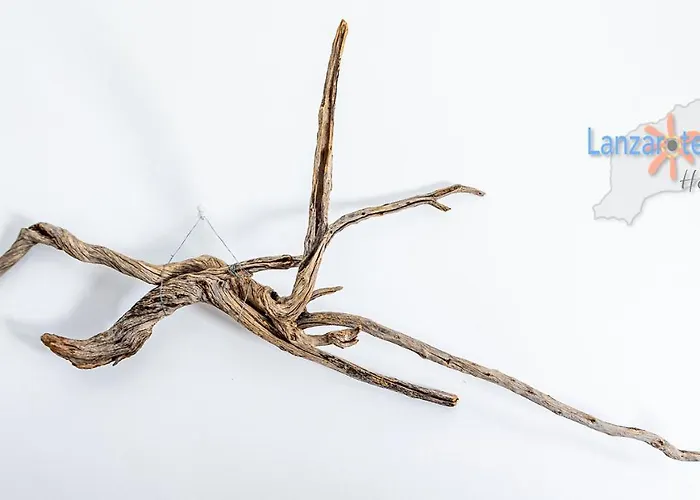 Maison Chaleureuse Zen Apartamento